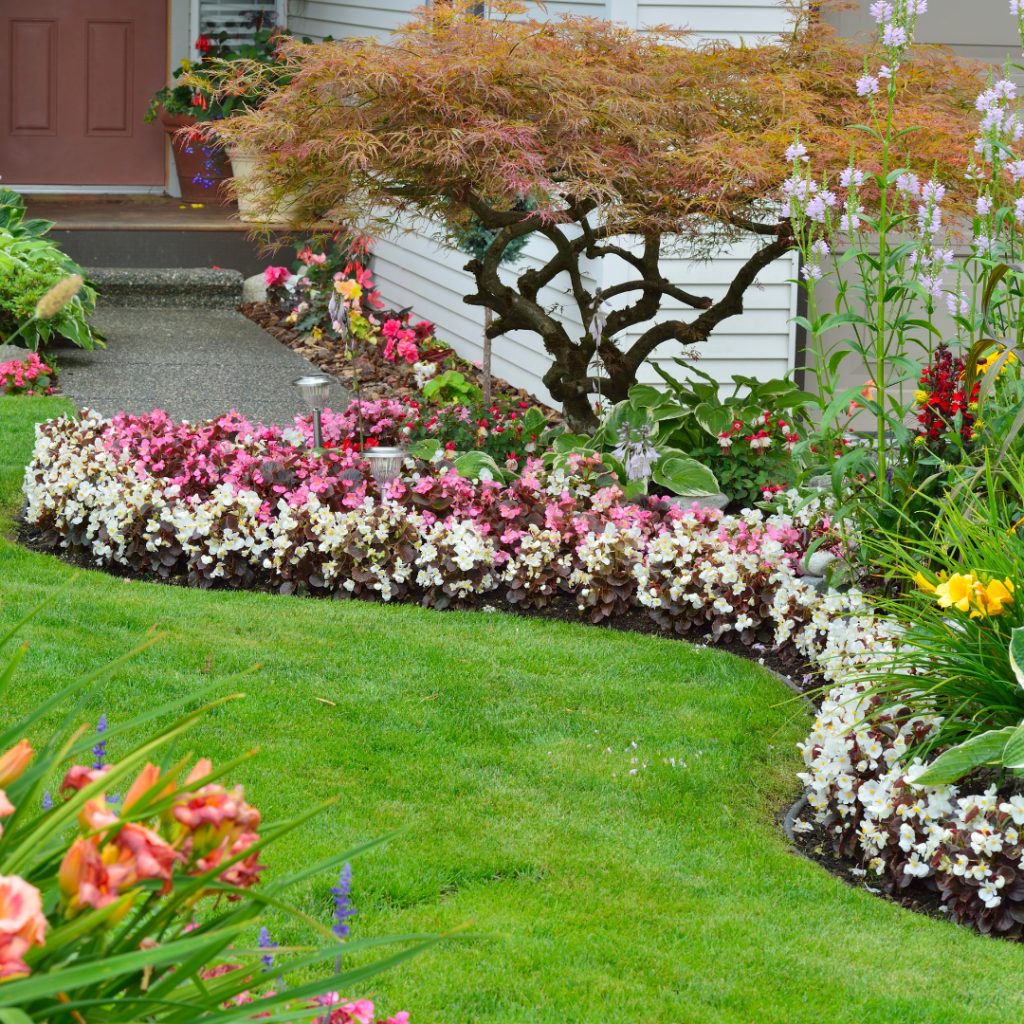 How To Make The Most Of Your Home Garden How To Make The Most Of Your Home Garden